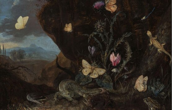 nieuwsotto-marseus-van-schrieck-7-scaled-2
