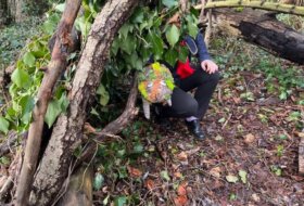 site_2359 (3)