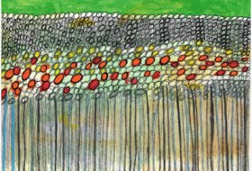 Site2602-SCAN1